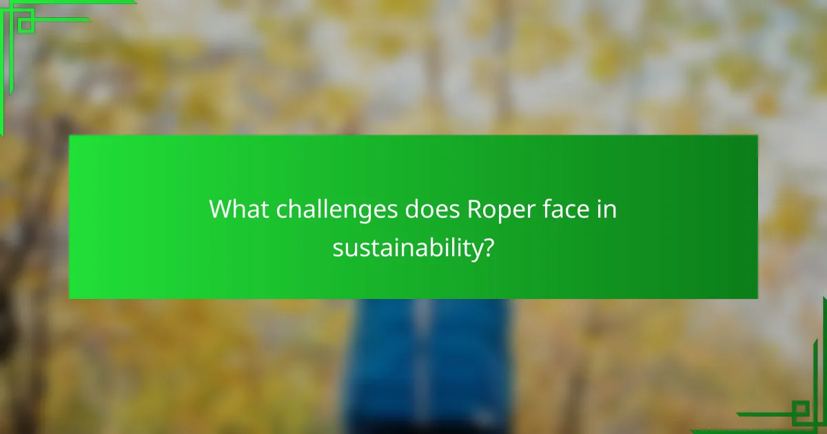 What challenges does Roper face in sustainability?