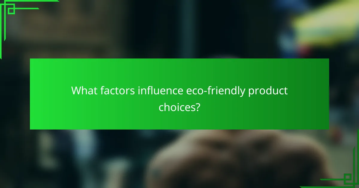 What factors influence eco-friendly product choices?
